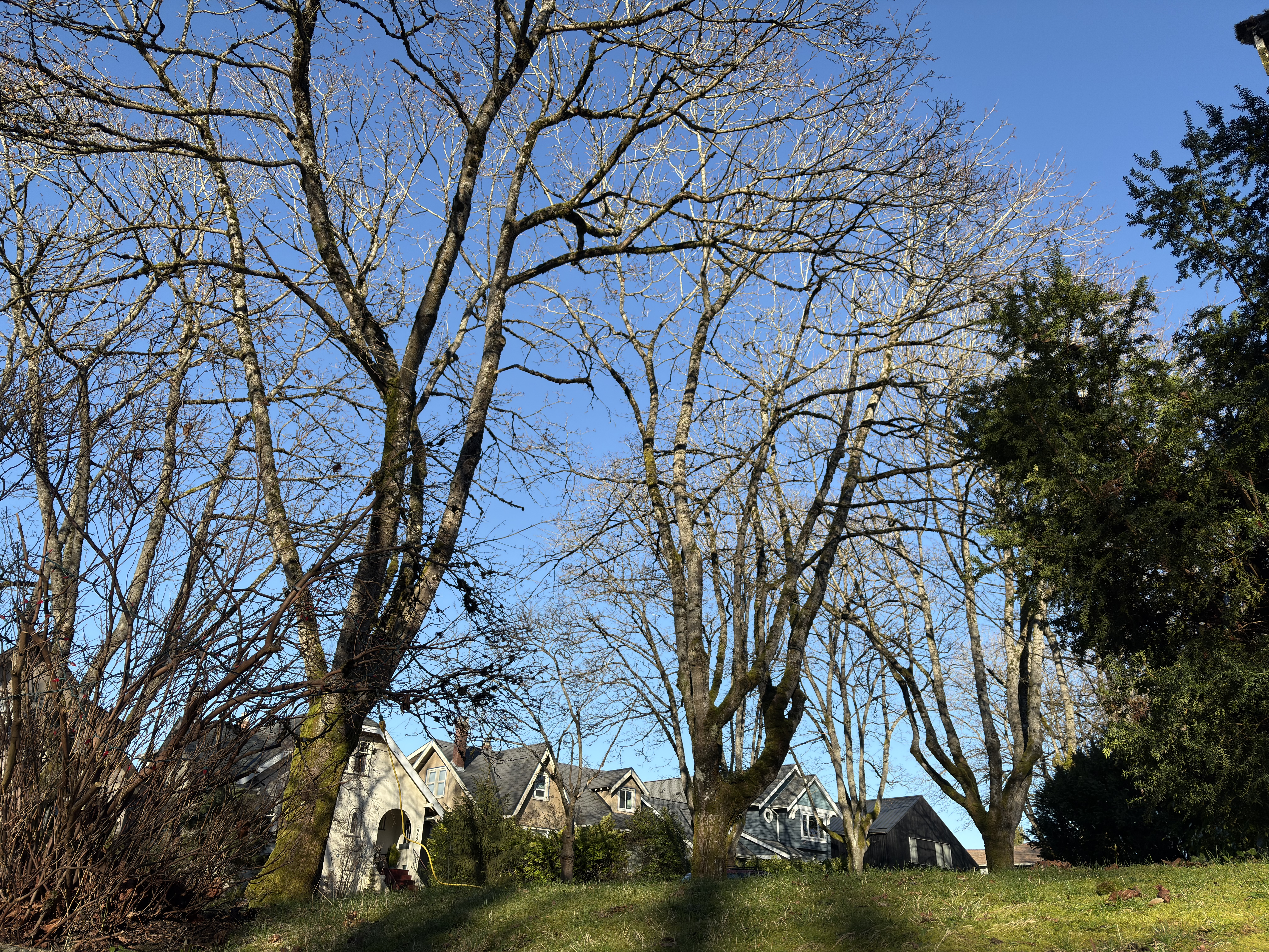 Kerrisdale Vancouver neighborhood